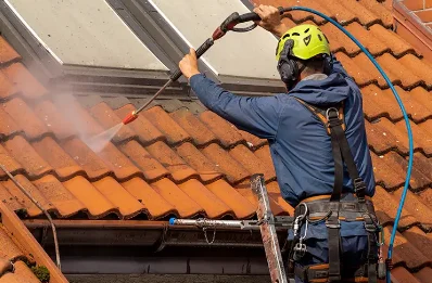 Démoussage et hydrofuge de toiture à Arbrissel